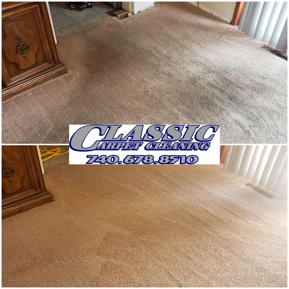 Carpet cleaning Vincent 