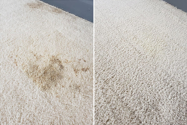 carpet cleaning